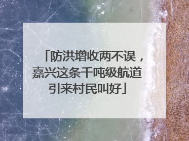 防洪增收两不误，嘉兴这条千吨级航道引来村民叫好