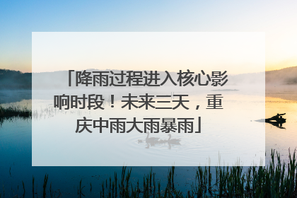降雨过程进入核心影响时段！未来三天，重庆中雨大雨暴雨