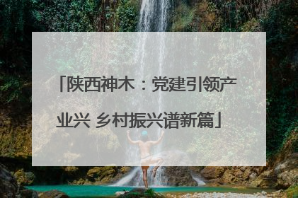 陕西神木：党建引领产业兴 乡村振兴谱新篇