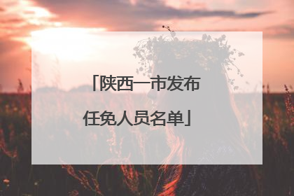 陕西一市发布任免人员名单