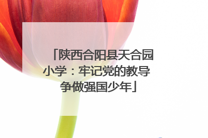 陕西合阳县天合园小学：牢记党的教导 争做强国少年