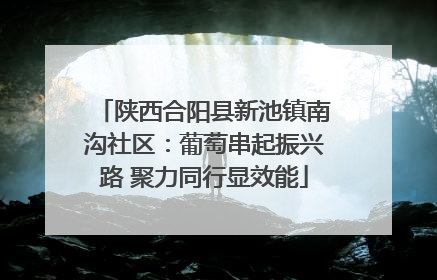 陕西合阳县新池镇南沟社区：葡萄串起振兴路 聚力同行显效能