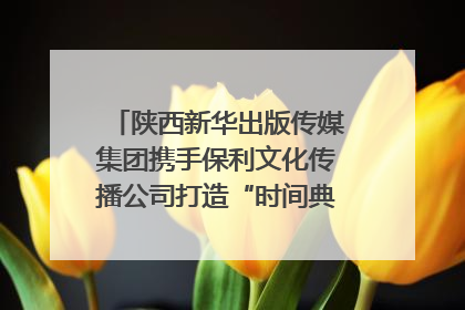 陕西新华出版传媒集团携手保利文化传播公司打造“时间典藏”数字艺术馆