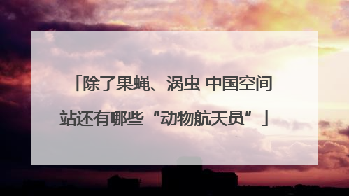 除了果蝇、涡虫 中国空间站还有哪些“动物航天员”