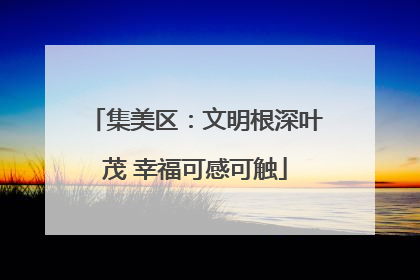 集美区：文明根深叶茂 幸福可感可触