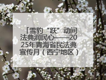 雪豹“跃”动间 法典润民心——2025年青海省民法典宣传月（西宁地区）主场活动见闻