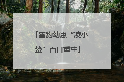 雪豹幼崽“凌小蛰”百日重生