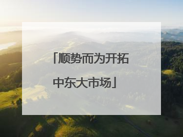 顺势而为开拓中东大市场