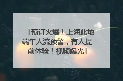 预订火爆！上海此地端午人流预警，有人提前体验！视频曝光