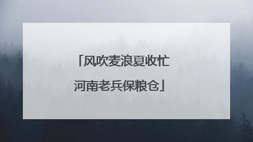风吹麦浪夏收忙 河南老兵保粮仓