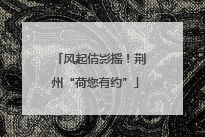 风起倩影摇！荆州“荷您有约”