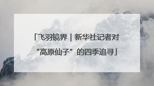飞羽镜界｜新华社记者对“高原仙子”的四季追寻