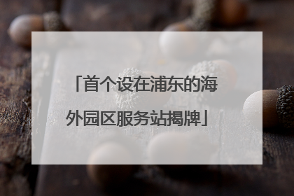 首个设在浦东的海外园区服务站揭牌