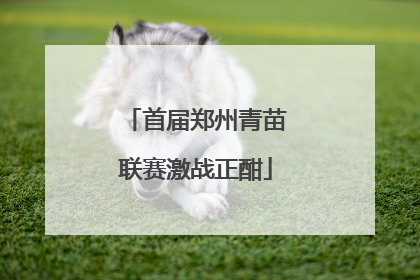 首届郑州青苗联赛激战正酣