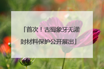 首次！古蜀象牙无灌封材料保护公开展出