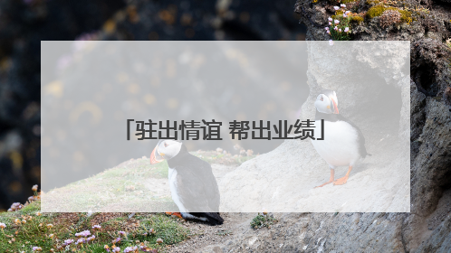 驻出情谊 帮出业绩