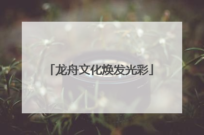 龙舟文化焕发光彩