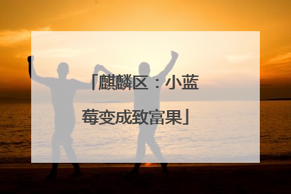 麒麟区：小蓝莓变成致富果