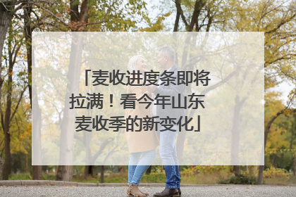 麦收进度条即将拉满！看今年山东麦收季的新变化