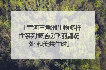 黄河三角洲生物多样性系列报道②飞羽翩跹处 和美共生时