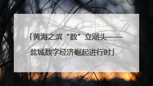 黄海之滨“数”立潮头——盐城数字经济崛起进行时