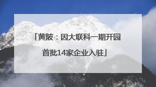 黄陂：因大联科一期开园 首批14家企业入驻