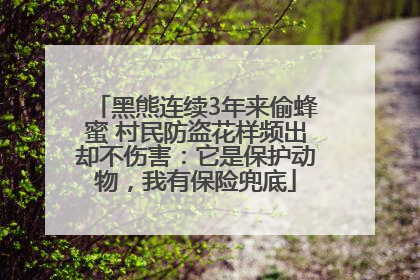 黑熊连续3年来偷蜂蜜 村民防盗花样频出却不伤害：它是保护动物，我有保险兜底