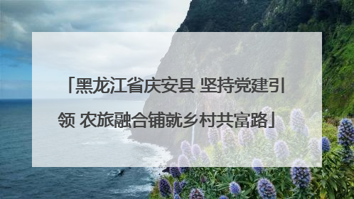 黑龙江省庆安县 坚持党建引领 农旅融合铺就乡村共富路