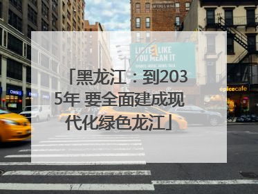 黑龙江：到2035年 要全面建成现代化绿色龙江
