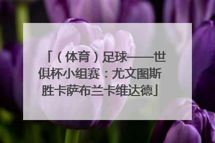 （体育）足球——世俱杯小组赛：尤文图斯胜卡萨布兰卡维达德