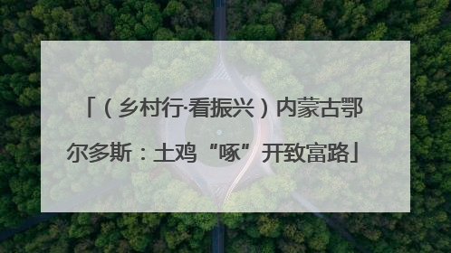 （乡村行·看振兴）内蒙古鄂尔多斯：土鸡“啄”开致富路
