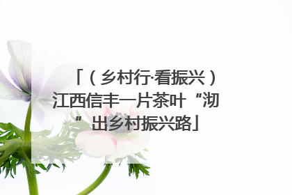 （乡村行·看振兴）江西信丰一片茶叶“沏”出乡村振兴路