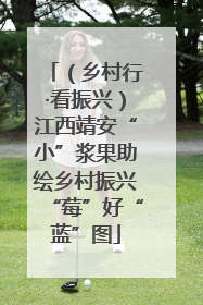 （乡村行·看振兴）江西靖安“小”浆果助绘乡村振兴“莓”好“蓝”图