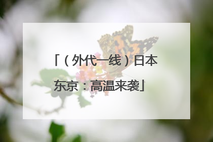 （外代一线）日本东京：高温来袭