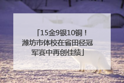 15金9银10铜！潍坊市体校在省田径冠军赛中再创佳绩