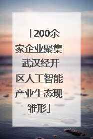 200余家企业聚集 武汉经开区人工智能产业生态现雏形