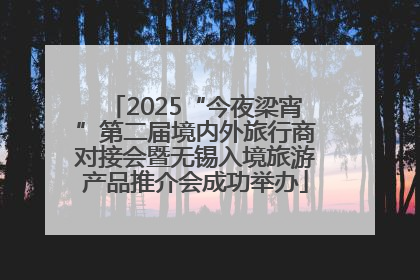 2025“今夜梁宵”第二届境内外旅行商对接会暨无锡入境旅游产品推介会成功举办