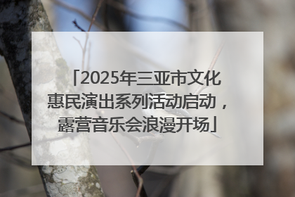 2025年三亚市文化惠民演出系列活动启动，露营音乐会浪漫开场