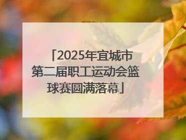 2025年宜城市第二届职工运动会篮球赛圆满落幕