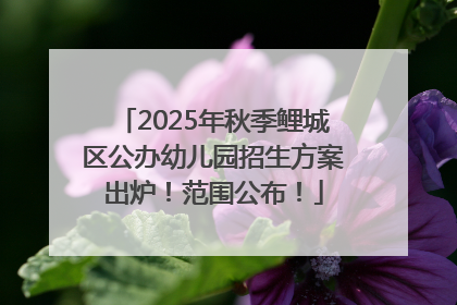 2025年秋季鲤城区公办幼儿园招生方案出炉！范围公布！