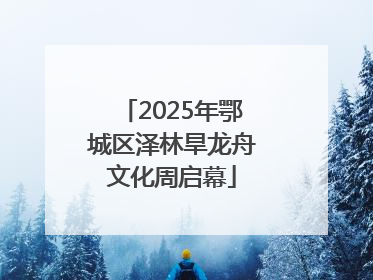 2025年鄂城区泽林旱龙舟文化周启幕