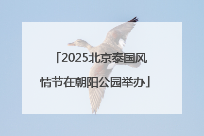 2025北京泰国风情节在朝阳公园举办