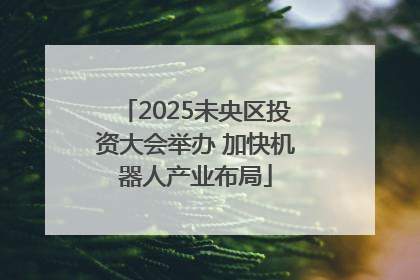 2025未央区投资大会举办 加快机器人产业布局