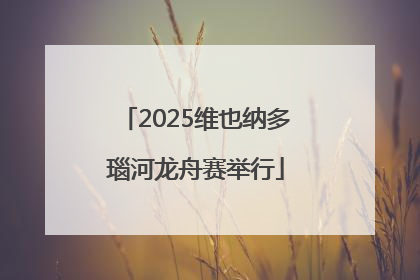 2025维也纳多瑙河龙舟赛举行