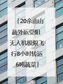20余亩山蔬外运受阻 无人机极限飞行8小时转运6吨蔬菜
