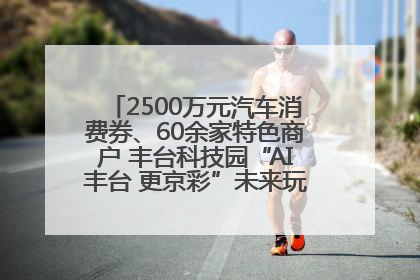 2500万元汽车消费券、60余家特色商户 丰台科技园“AI丰台 更京彩”未来玩家市集活动正式开幕