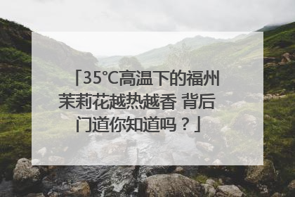 35℃高温下的福州茉莉花越热越香 背后门道你知道吗？