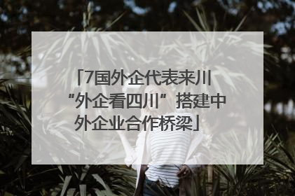 7国外企代表来川 “外企看四川”搭建中外企业合作桥梁