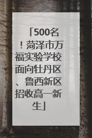 500名！菏泽市万福实验学校面向牡丹区、鲁西新区招收高一新生