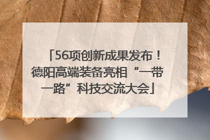 56项创新成果发布！德阳高端装备亮相“一带一路”科技交流大会